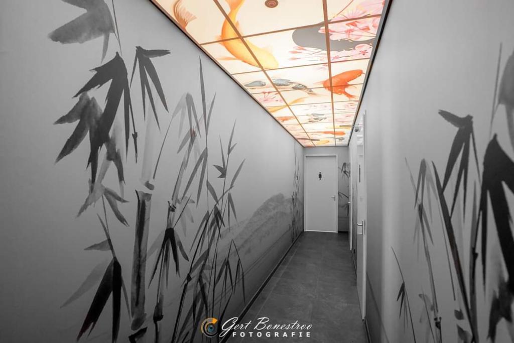 WhatsApp Image 2026-02-27 at 18.56.27 (7)